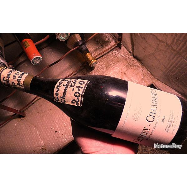 1 BOURGOGNE DE COLLECTION ANNEES 2010 - OU A DEGUSTER -  OU A PLACER DANS VOTRE CAVE DANS LE SOMBRE