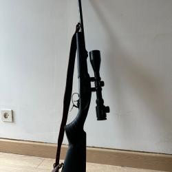 Kipplauf Baikal 222rem