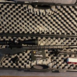 Carabine Ruger 17HMR