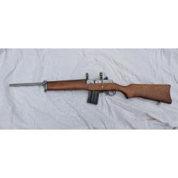 MINI 14 en 222 REM