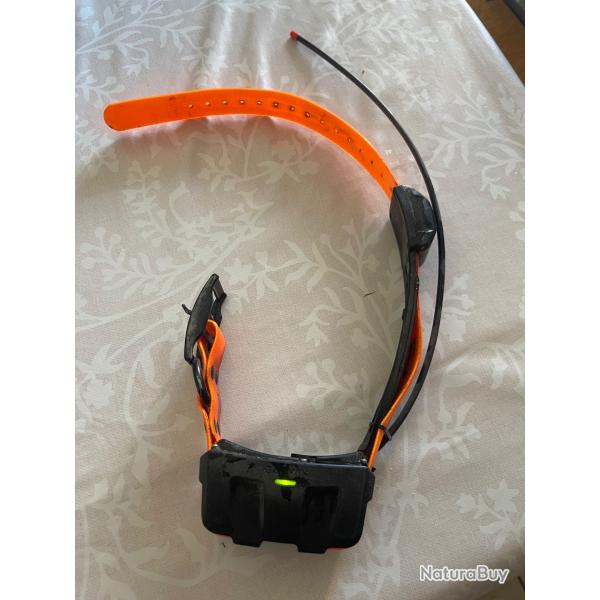 Centrale astro 320 collier Garmin DC50