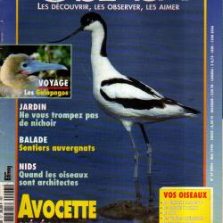 vivre avec les  oiseaux 27 avocette, nids, oiseaux d'auvergne, nichoirs, perruche, colibris,