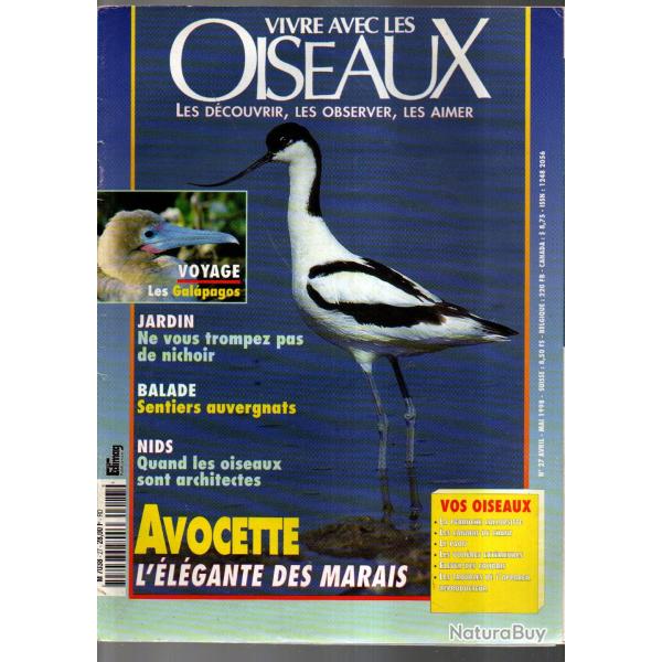vivre avec les  oiseaux 27 avocette, nids, oiseaux d'auvergne, nichoirs, perruche, colibris,