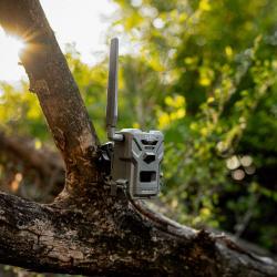 Pi&egrave;ge photo et video communiquant Spypoint Flex E36 36MP
