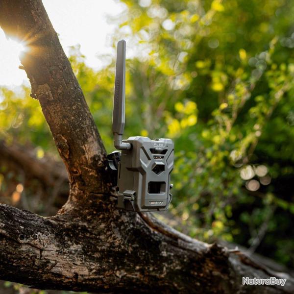 Pi�ge photo et video communiquant Spypoint Flex E36 36MP