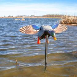 Mini appelant canard &agrave; aile tournante motoris&eacute; MOJO