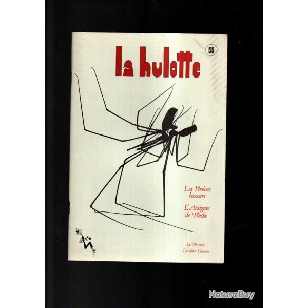 la hulotte 55, pholcus,