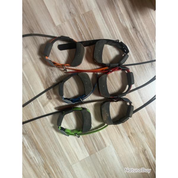 Collier GPS Sportdog Tek2