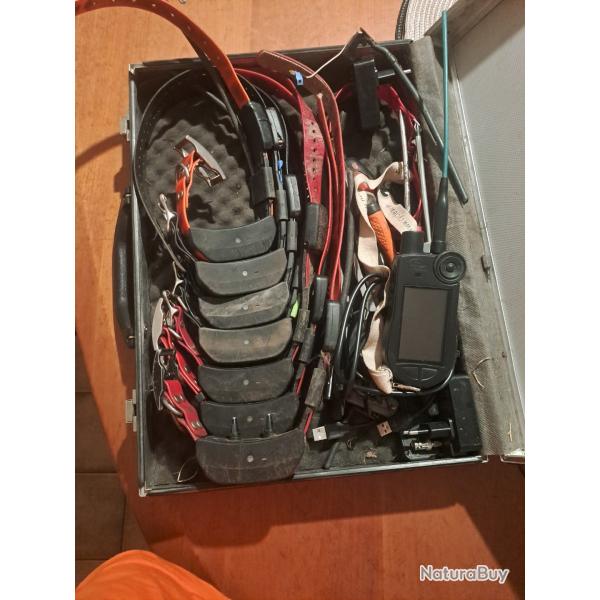 7 Colliers + central teck2 + carte topographie sportdog