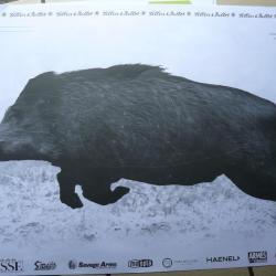 20 Cibles Sanglier courant.