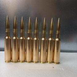 munition 460 Steyr