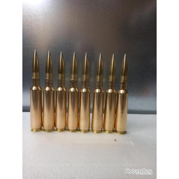 munition 460 Steyr