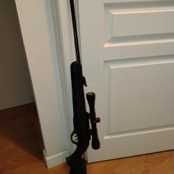 Carabine Gamo shadow IGT