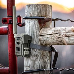 Cam&eacute;ra chasse Spypoint Flex-M + Batterie LIT22