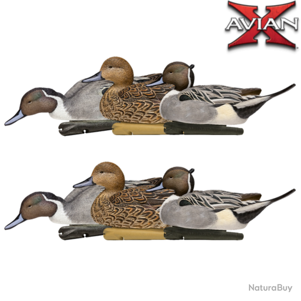 Pilet TOPFLIGHT - AVIANX (PRECOMMANDE)