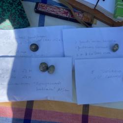 Lot de 100 Boutons anciens Gendarmerie Fran&ccedil;aise, laiton et alu