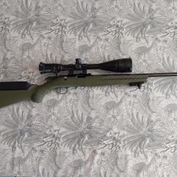 Carabine RUGER American Rimfire OD Green .22LR