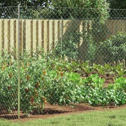 Cl&ocirc;ture en treillis m&eacute;tallique Galvanis&eacute; 2 x 10 m Verre