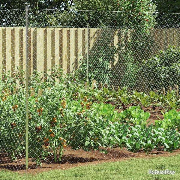 Cl�ture en treillis m�tallique Galvanis� 2 x 10 m Verre