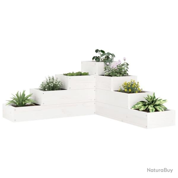Jardini�re 4 niveaux 80,5x79x36 cm blanc bois de pin massif