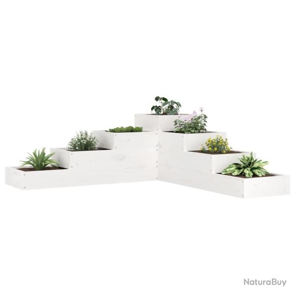 Jardini�re 4 niveaux 106x104,5x36 cm blanc bois de pin massif