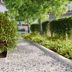 Bordures de pelouse 10 pcs 15x103 cm acier inoxydable