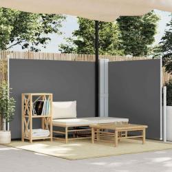 Auvent lat&eacute;ral r&eacute;tractable Anthracite 140 x 1000 cm