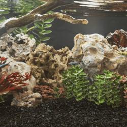 Pierres du dragon 10 kg m&eacute;lange de couleurs 10-30 cm