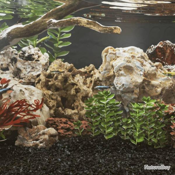 Pierres du dragon 10 kg m�lange de couleurs 10-30 cm