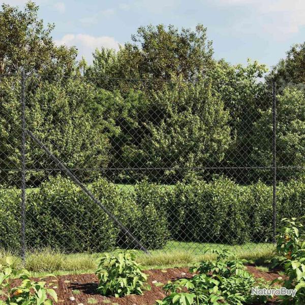 Cl�ture � mailles losang�es avec ancrage anthracite 2,2x25 m