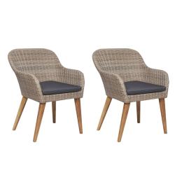 Chaises d'ext&eacute;rieur et coussins lot de 2 R&eacute;sine tress&eacute;e Marron
