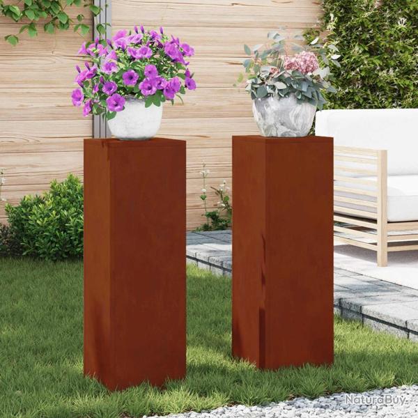 Support de Plante 2 pcs Rouill� 24 x 24 x 75 cm Acier patin�