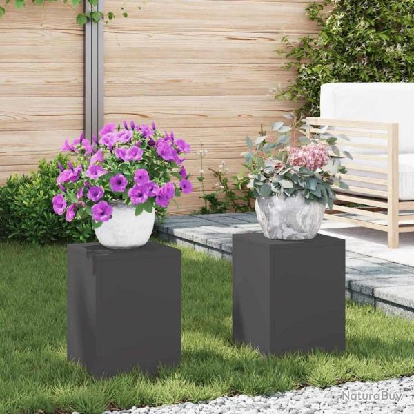 Support de Plante 2 pcs Noir 24 x 24 x 35 cm Acier