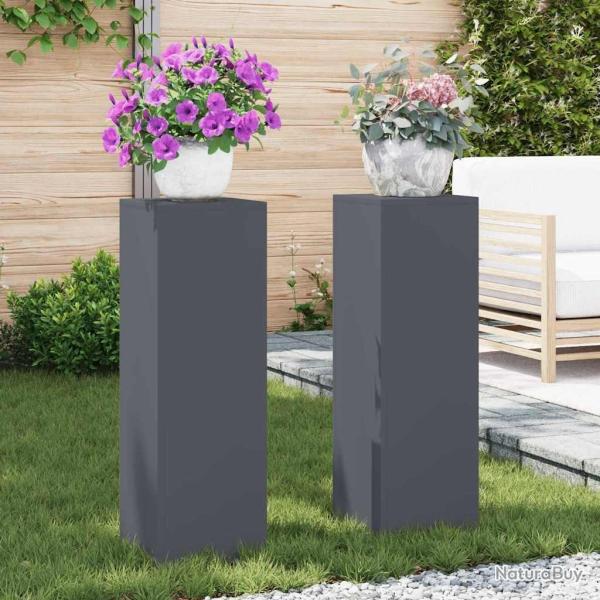 Support de Plante 2 pcs Anthracite 24 x 24 x 75 cm Acier