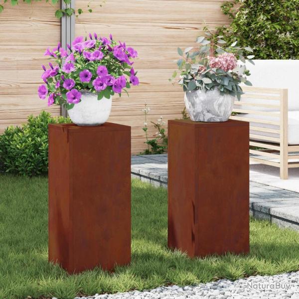 Support de Plante 2 pcs Rouill� 24 x 24 x 55 cm Acier patin�