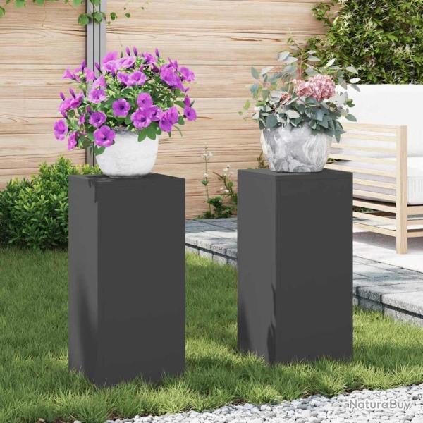 Support de Plante 2 pcs Noir 24 x 24 x 55 cm Acier