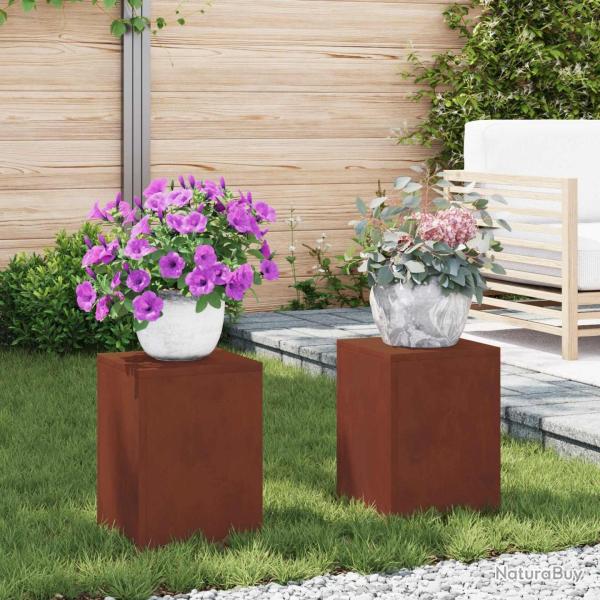 Support de Plante 2 pcs Rouill� 24 x 24 x 35 cm Acier patin�