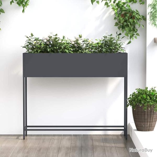 Bac de jardin sur�lev� Anthracite 100 x 26 x 82 cm Acier