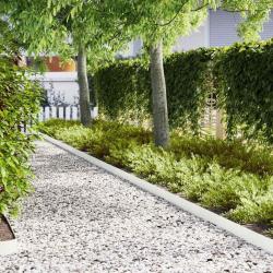 Bordure de Pelouse 20 pcs Blanc 100 x 0,05 x 15 cm