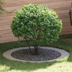 adapt&eacute; pour anneaux d'arbre plats 5 pcs Argent &Oslash;90 / 120 cm