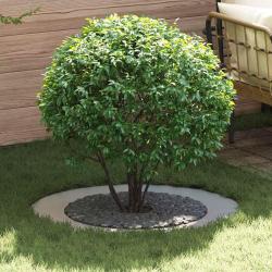 adapt&eacute; pour anneaux d'arbre plats 5 pcs Argent &Oslash;60 / 90 cm