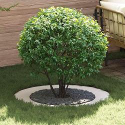 adapt&eacute; pour anneaux d'arbre plats 5 pcs Blanc &Oslash;60 / 90 cm Acier