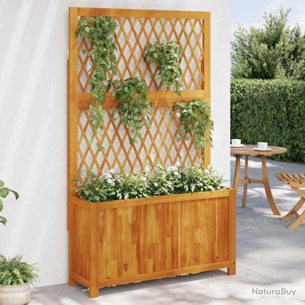 Jardini�re avec treillis 100x32x165 cm bois massif d'acacia