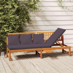 Lit de jour avec coussin gris 200x60x75 cm Bois d'acacia solide