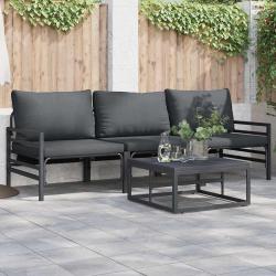 Ensemble de canap&eacute; de jardin avec coussin 4 pcs Noir Acier