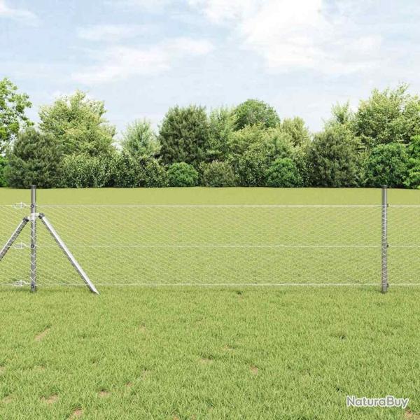 Poteau de cl�ture. Argent� 50 x 0,6 m (maillage de 25 mm) Acier