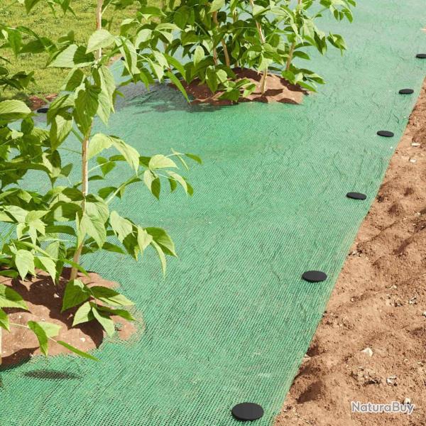 Piquets de sol 100 pcs Noir �3 x 11 cm Plastique