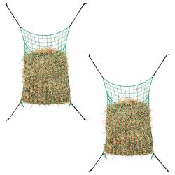 Filets &agrave; foin 2 pcs rectangulaire vert 200x120 cm PP