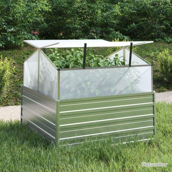 Lit sur�lev� de jardin avec serre 100x100x85 cm Argent�