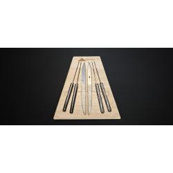 Charles Canon Coffret 6 couteaux de table CHC T6ASS manches mixtes